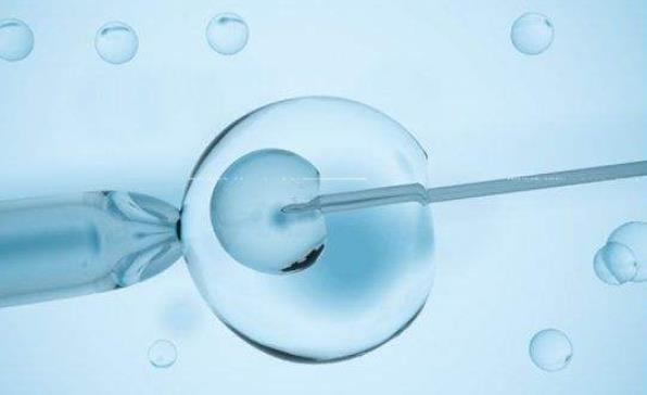 冻胚解冻后会出现降级，但大多数情况仍能移植成功