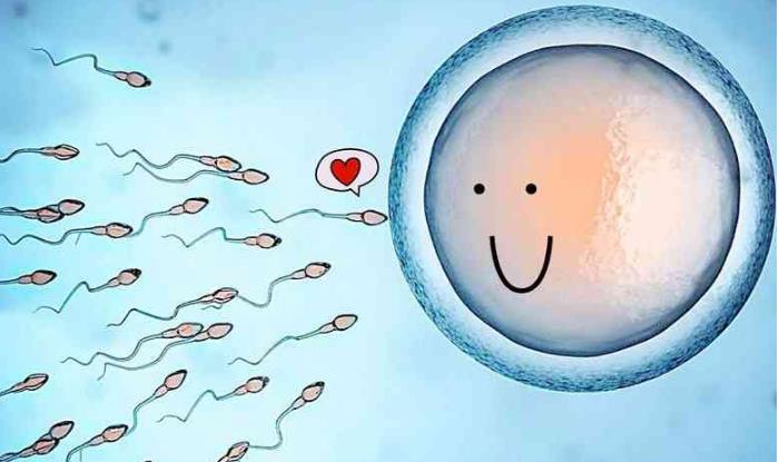 卵巢早衰促排卵做试管卵巢早衰促排卵能自然受孕吗