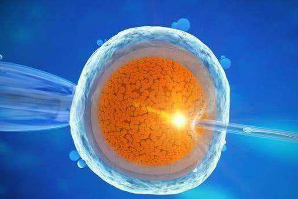 试管婴儿胚胎移植后血值高但孕酮和雌二醇都比较低是什么原因呢