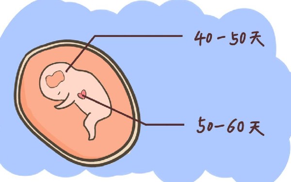 雌激素过高能做泰国试管婴儿吗，泰国试管婴儿二次移植的成功率高吗