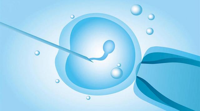 供精试管婴儿的成功率是多少附上影响成功率的原因分析